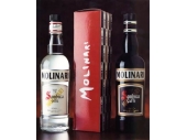 Sambuca Molinari Caffe